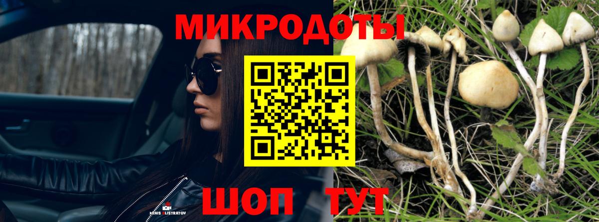 Псилоцибиновые грибы мицелий  Вход с VPN  Сухой Лог 