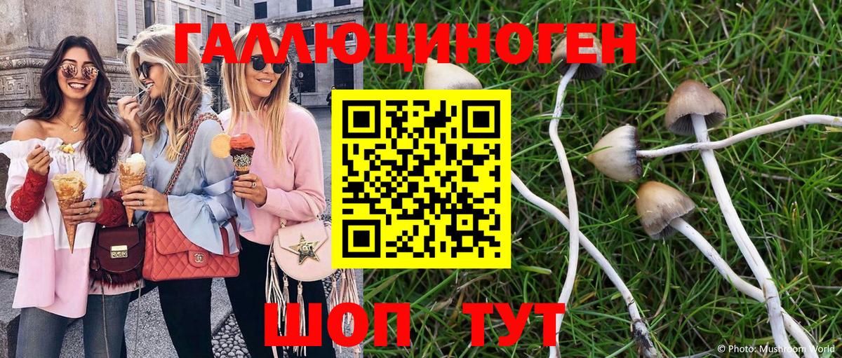 Галлюциногенные грибы прущие грибы Сухой Лог